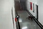 ورود پلنگ به دانشگاهی در هند خبرساز شد +عکس