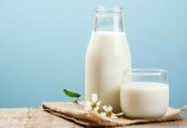 شیر سوسک 4 برابر مغذی تر از شیر گاو!؟