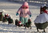 بازی بانمک کودک با خانواده اردک ها+عکس